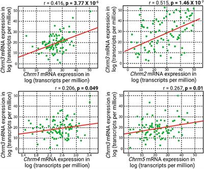 Deepening insights into cholinergic agents for intraocular pressure reduction: systems genetics, molecular modeling, and in vivo perspectives